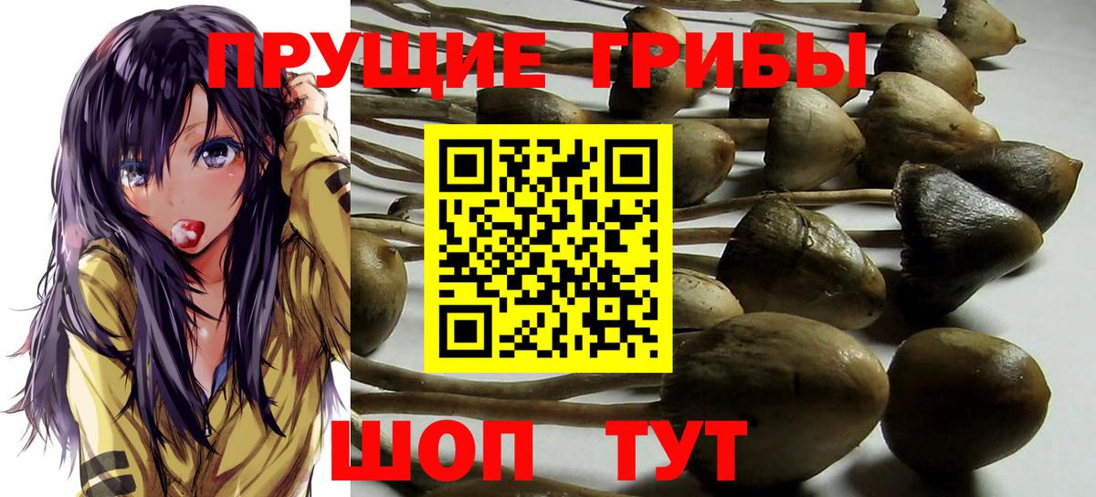 Верхняя Салда  Галлюциногенные грибы GOLDEN TEACHER  Вход с VPN 