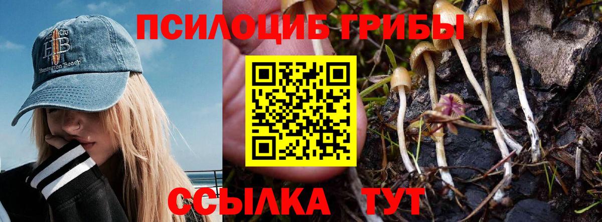 Псилоцибиновые грибы GOLDEN TEACHER Верхняя Салда
